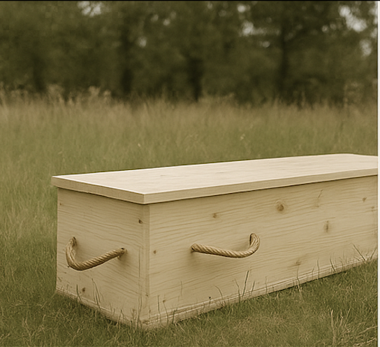 Screenshot 2025-07-09 at 5.11.11 PM